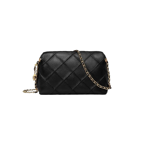 Perfect Handbag for Women